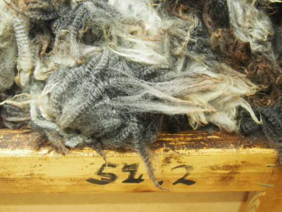 The First Wool Project